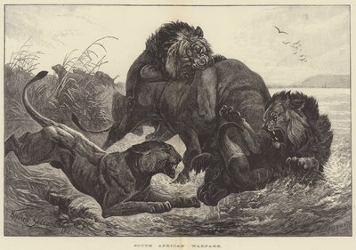 Działania wojenne w RPA autorstwa George Bouverie Goddard